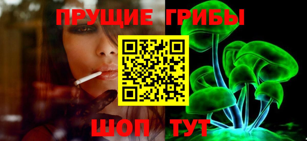 Галлюциногенные грибы Magic Shrooms Сертолово
