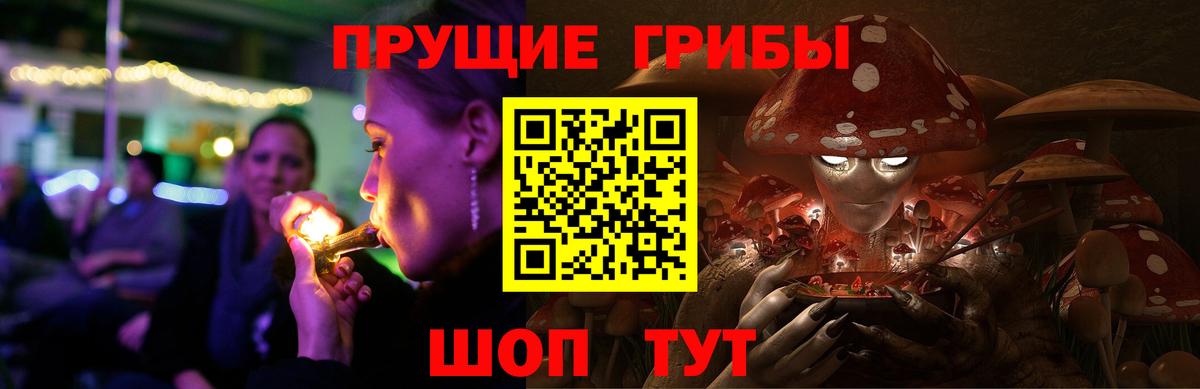 Сертолово  Галлюциногенные грибы ЛСД  продажа наркотиков  Вход с VPN  Галлюциногенные грибы MAGIC MUSHROOMS 
